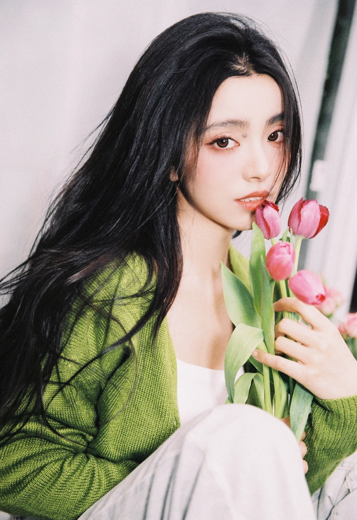 送你一束郁金香