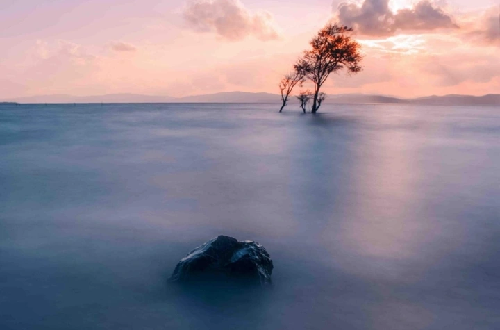 昆明捞鱼河湿地公园