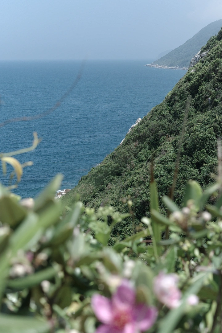 山海理光蓝