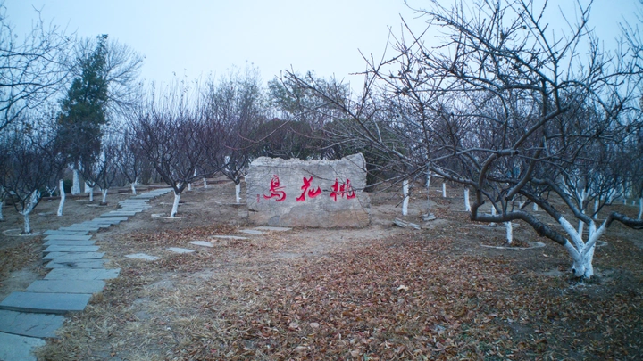 冬天的桃花岛