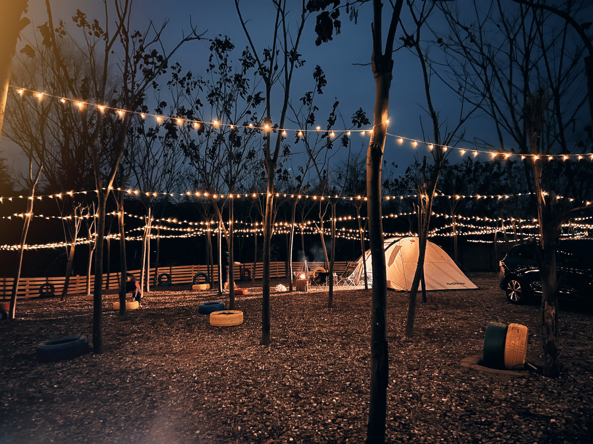 夜晚在树木附近搭起了一个白色的帐篷