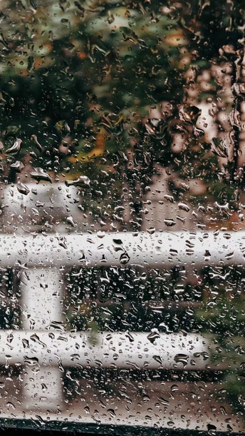 雨点落在背景是树的窗户上