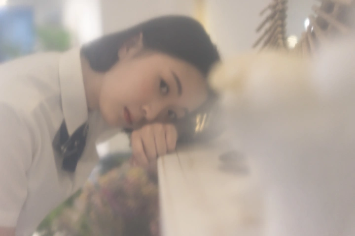 十七岁的夏日