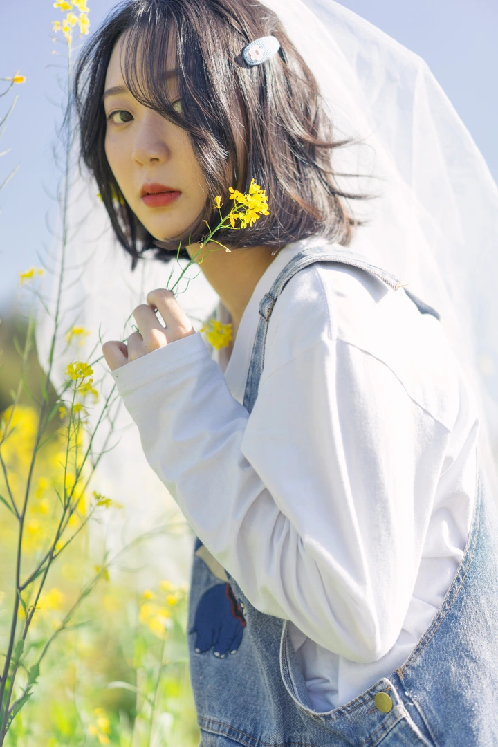 油菜花