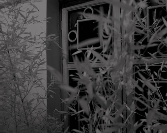 建筑物的门和窗户的黑白照片