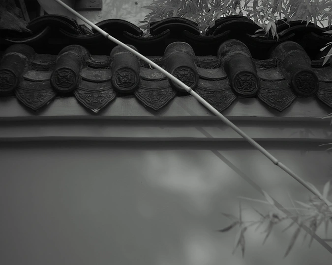 建筑物的屋顶上有植物和黑白色遮阳伞