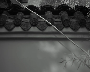 建筑物的屋顶上有植物和黑白色遮阳伞