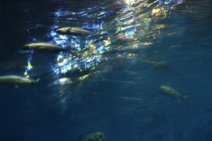 缺氧
