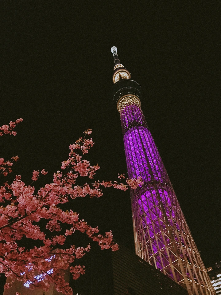 20190308