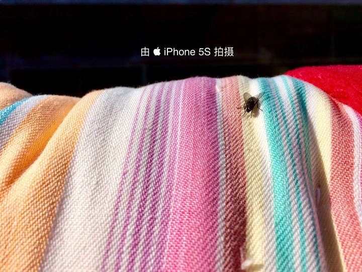 取个名字吧