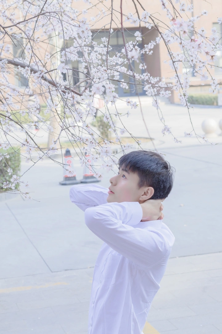 花儿与少年🌸