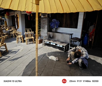 一个跪在遮阳伞下的户外露台上的男人 带着一只狗 一个女人正在抚摸一只猫。