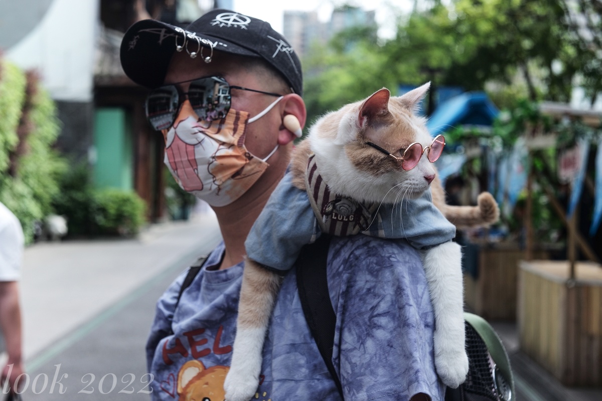 一个戴着面具、脸上戴着猫的男人