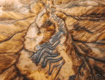 像山中的树一样的岩石结构