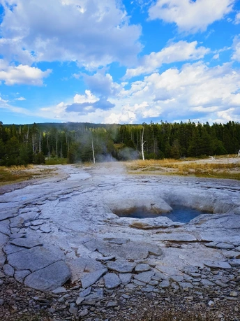 一个有树作背景的热水池