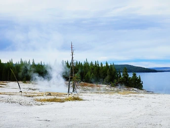 湖中升起的蒸汽 背景中有树木。