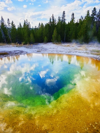 树丛中有一池水