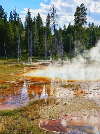 蒸汽从间歇喷泉的池中升起。