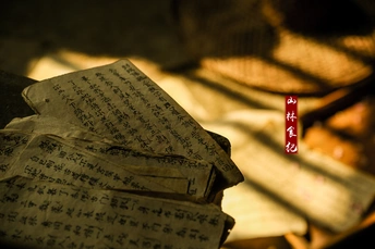 桌子上的一叠旧纸 背景是一只猫