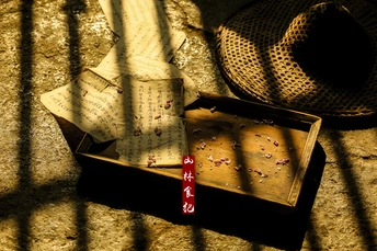 放在桌子上一个木箱顶上的一顶旧帽子