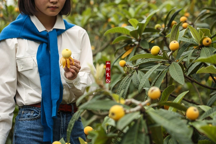 五月的滋味，必须有一味是枇杷。