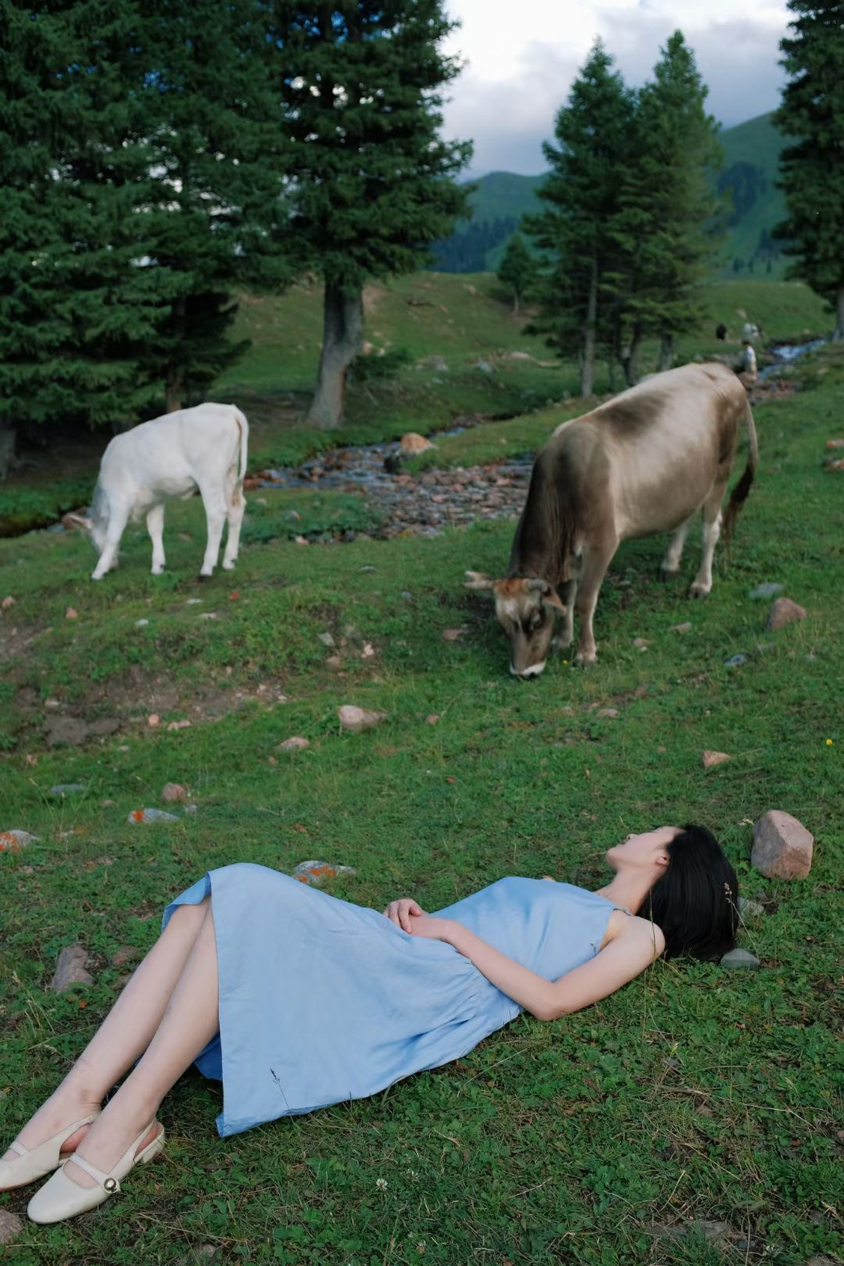 一位穿着蓝色连衣裙的年轻女子躺在草地上 而牛在田地里吃草。