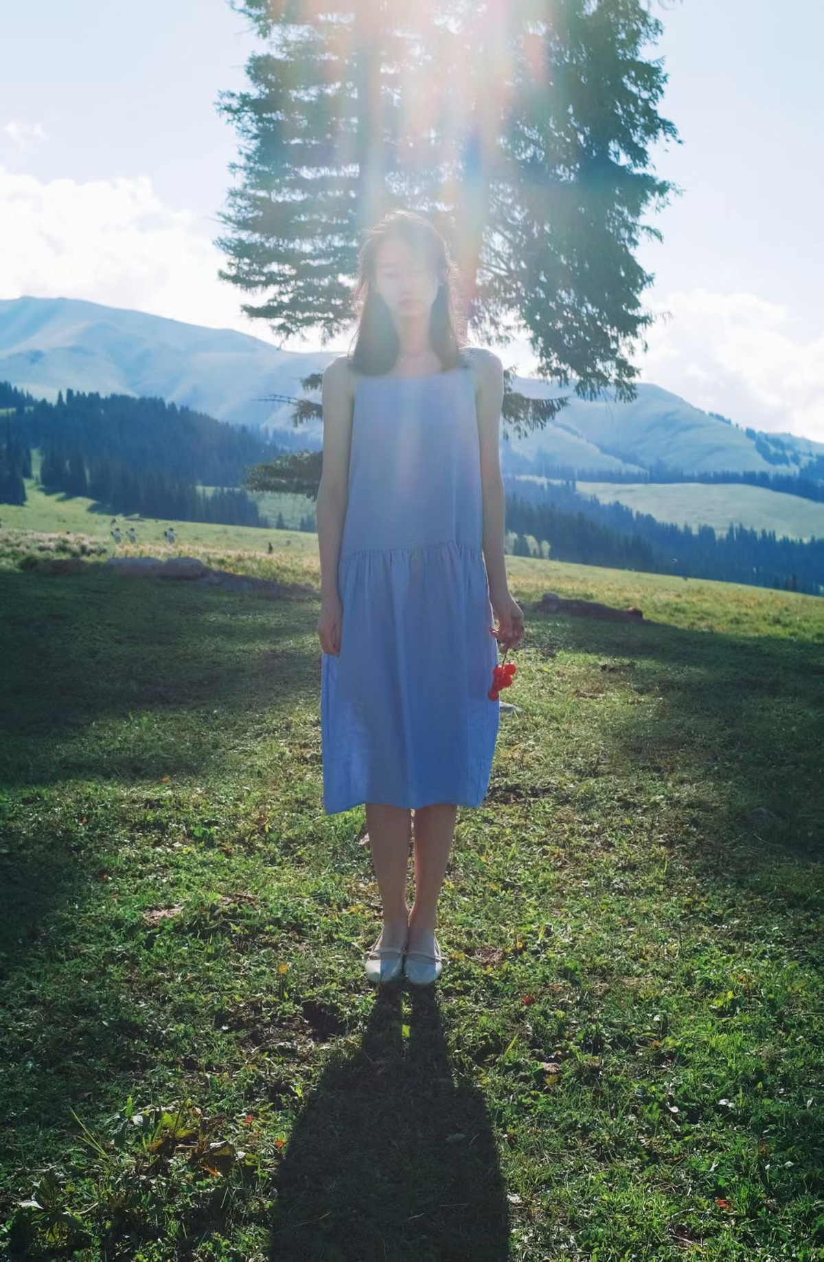 一位穿着蓝色连衣裙的年轻女子站在一个有山和树木景观的田野中