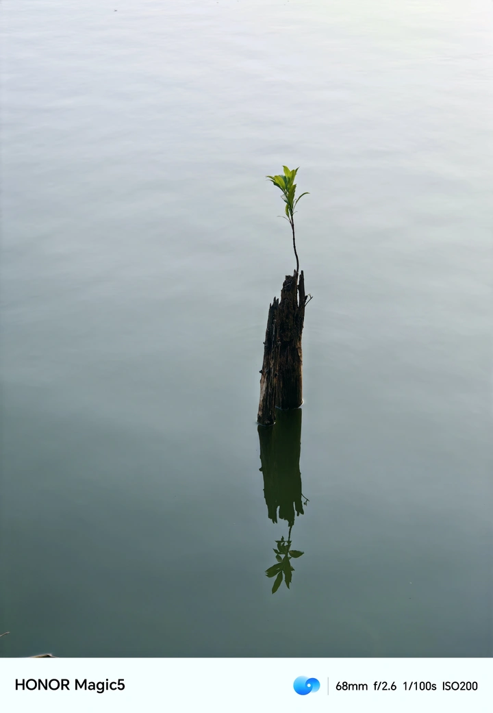 独立
