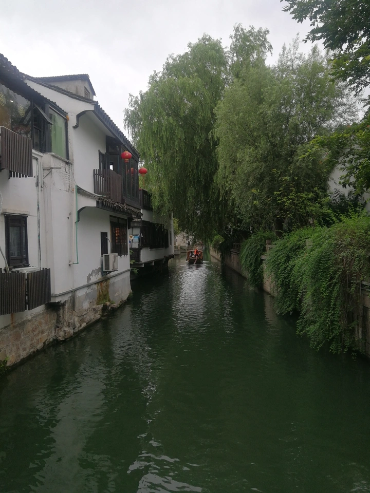 《故乡情思》