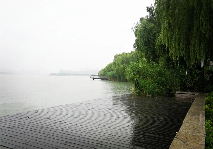 《雨雾情愫》
