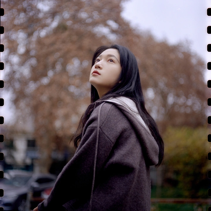 5207|春日碎语