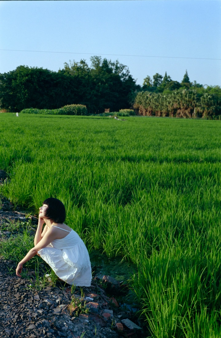 稻香