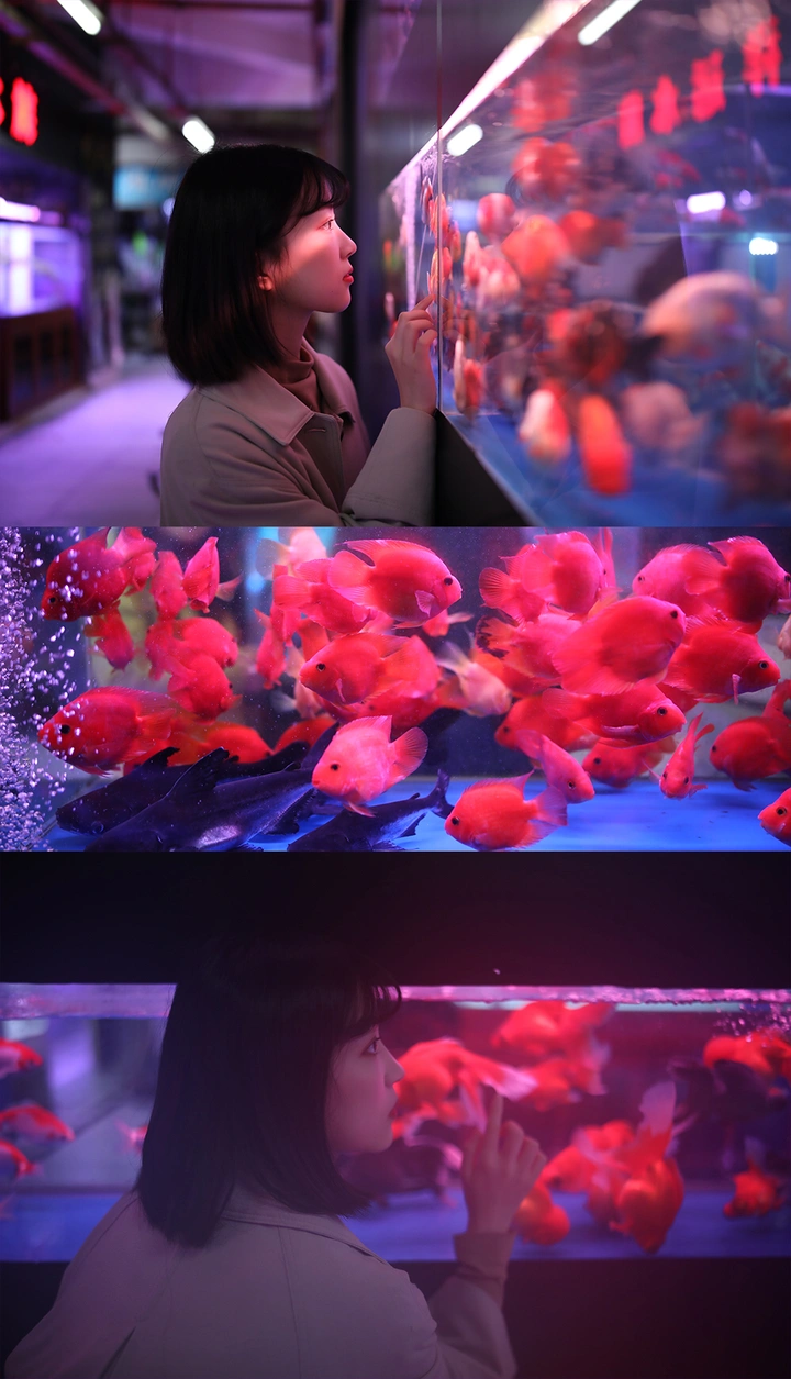 少年的你❤️