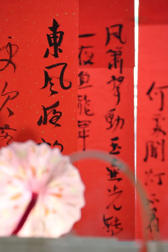 在一幅红色的墙前 一个花瓶里插着一朵粉色花。