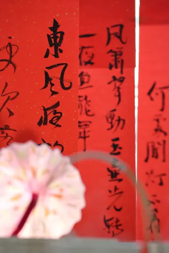 在一幅红色的墙前 一个花瓶里插着一朵粉色花。