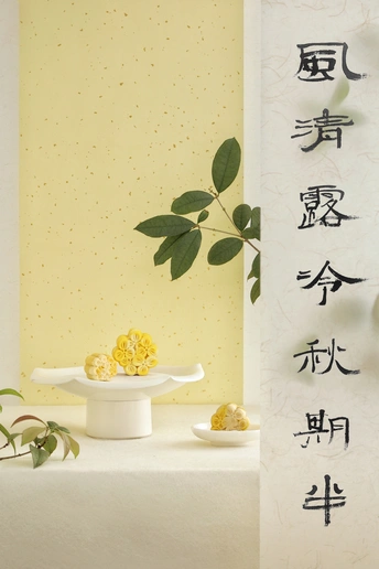 一个白色的花瓶 前面有一朵黄色的花 背景是一面带有中国书法的墙。