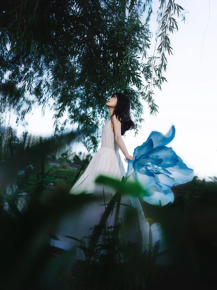 “寻找光的意义”