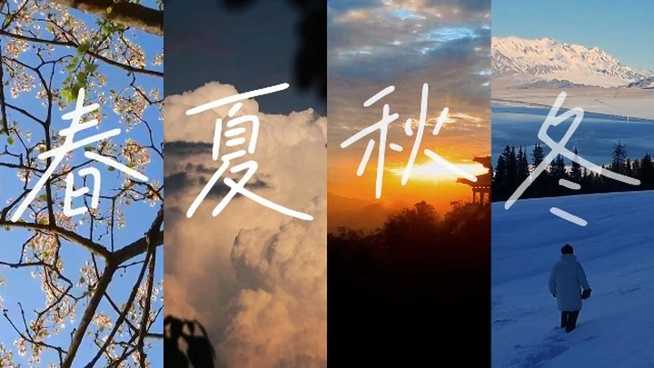 2024记忆存档-----是风就该自由，要什么归宿