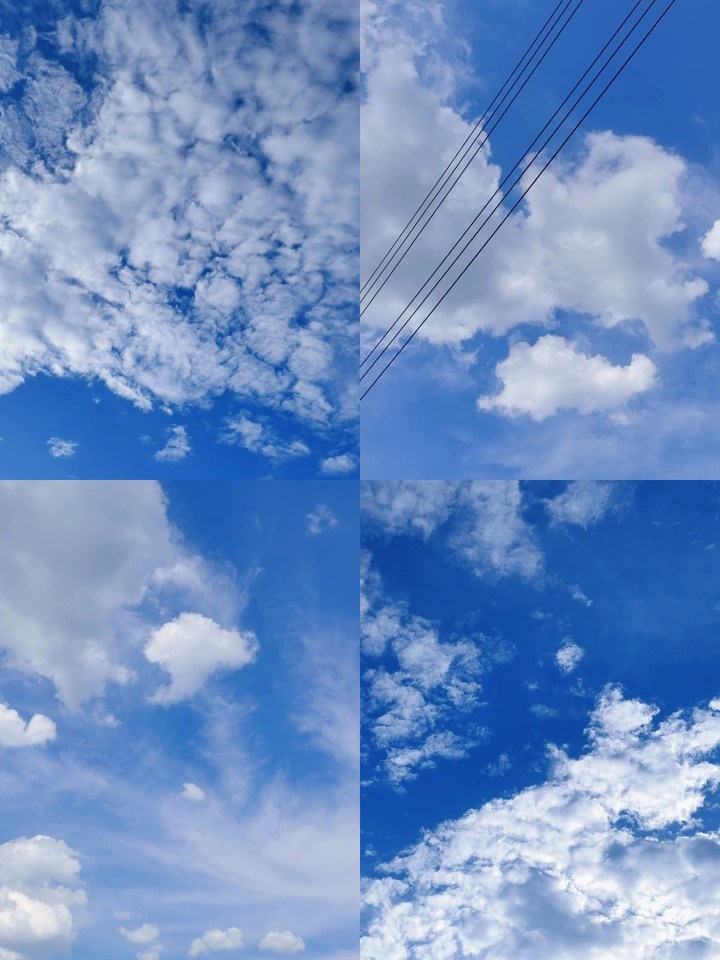 夏日记趣