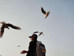 一个带着背包的男人在沙滩上喂一群海鸥在天空中飞翔。