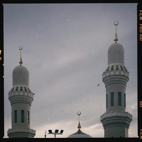 一个带有圆顶的大白建筑和一只在天空中飞翔的鸟。