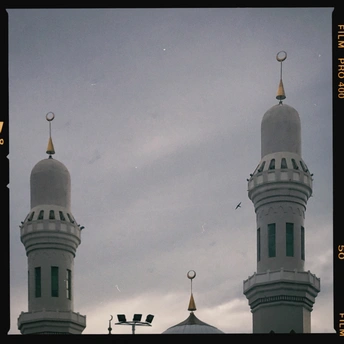 一个带有圆顶的大白建筑和一只在天空中飞翔的鸟。