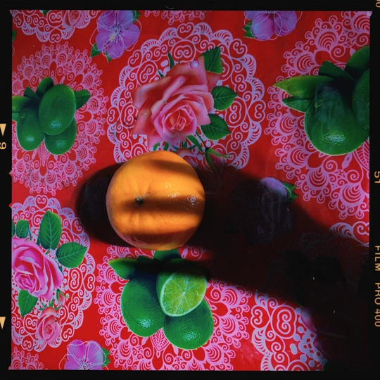 一只橙子在红色的墙前桌子上 周围有玫瑰花。