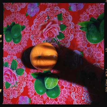 一只橙子在红色的墙前桌子上 周围有玫瑰花。