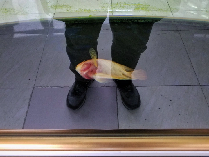 逝