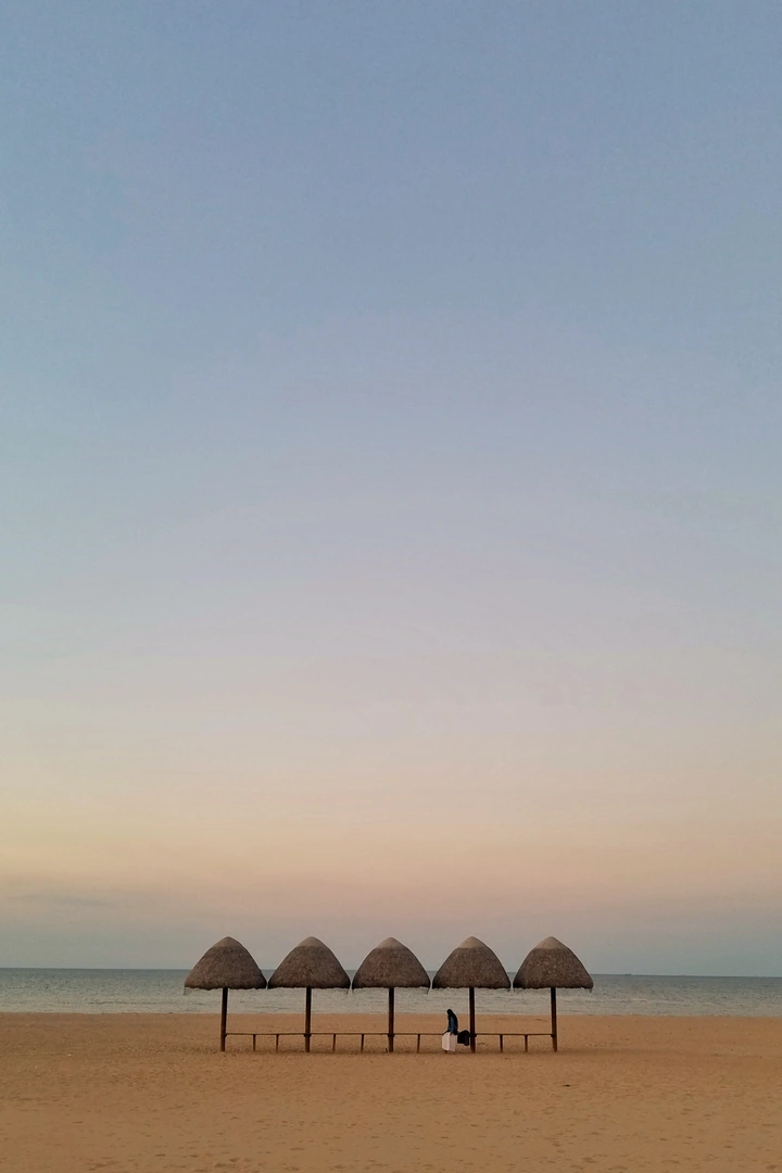海