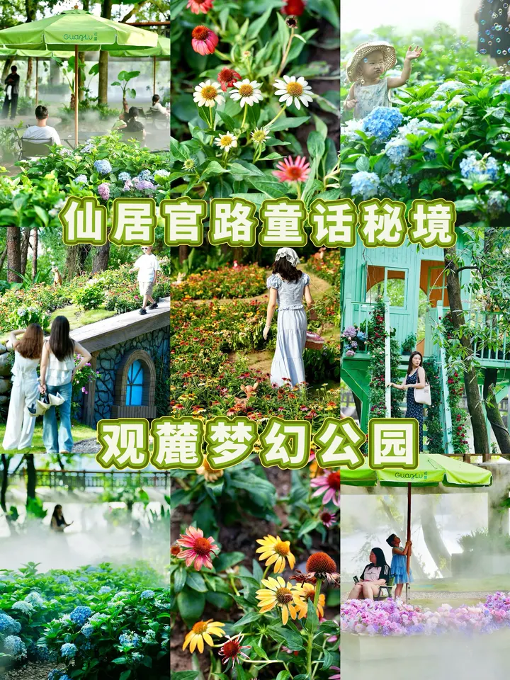 仙居官路童话秘境观麓梦幻公园