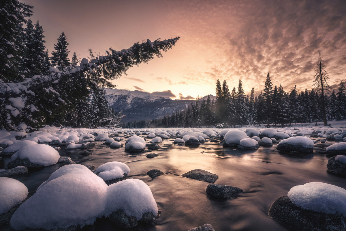 河岸被积雪覆盖的岩石和树木前景 背景是雪山 太阳低垂在天空中。