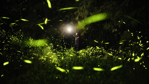 一个夜晚在黑暗森林中站立着一个穿着草裙的男人 手拿手电筒照亮地面。