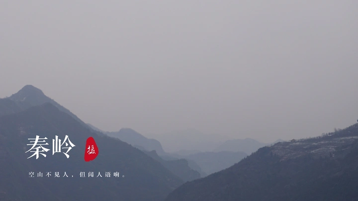 《秦岭》
空山不见人，但闻人语响。